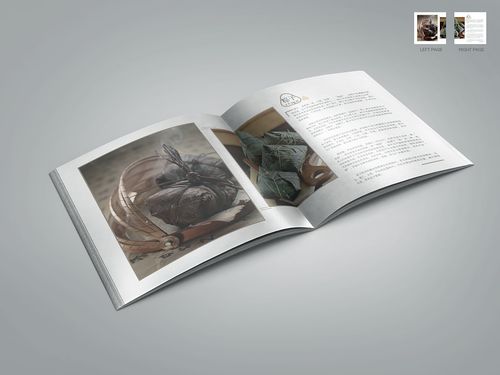 平面書裝化語 探索ZCOOL雜志租賃新趨勢